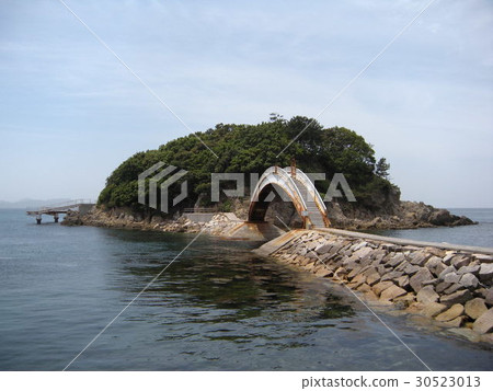 Migratory birds 30523013