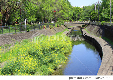 和田軒公園的春天 30523988