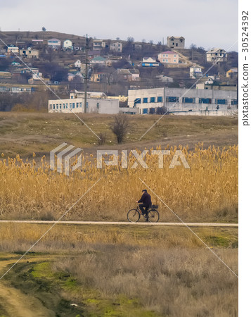 Cyclist riding on the road along the reeds Cyclist riding on the road along the reeds 30524392