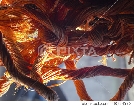 bright orange rope strangely intertwined bright orange rope strangely intertwined 30524550