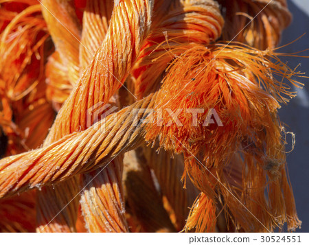 bright orange rope strangely intertwined close up bright orange rope strangely intertwined close up 30524551