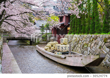 Cherry Blossoms In Kyoto Takase River Stock Photo