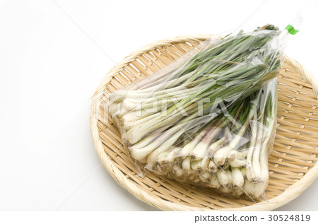 Island island (Okinawa Island Vegetable) 30524819