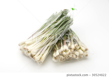 Island island (Okinawa Island Vegetable) 30524822