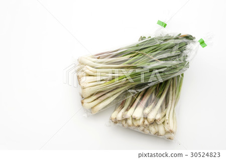 Island island (Okinawa Island Vegetable) 30524823