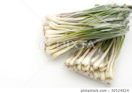 Island island (Okinawa Island Vegetable) 30524824