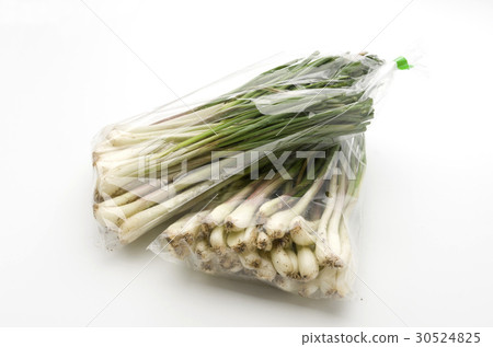 Island island (Okinawa Island Vegetable) Island island (Okinawa Island Vegetable) 30524825