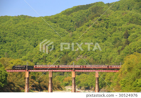 秩父鐵路·SL Pareo Express和新鮮綠色 秩父鐵路·SL Pareo Express和新鮮綠色 30524976