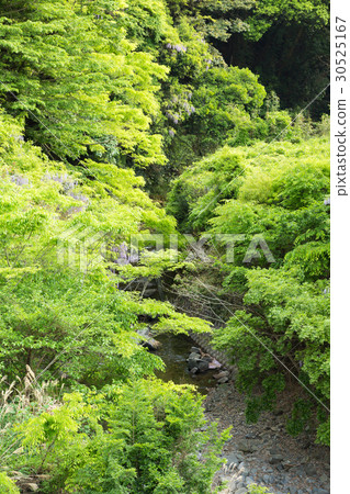島根峽谷 30525167