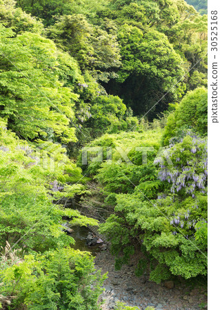 島根峽谷 30525168