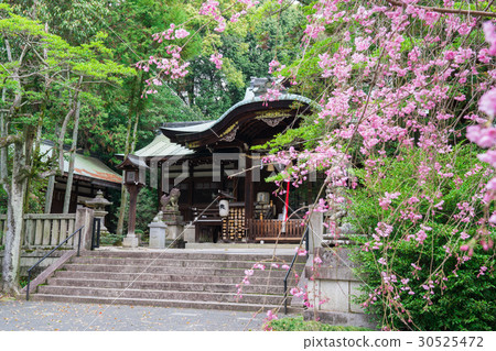 Kyoto Okazaki Shrine Kyoto Okazaki Shrine 30525472