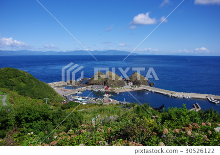 Aomori Ryusorikazaki Aomori Ryusorikazaki 30526122