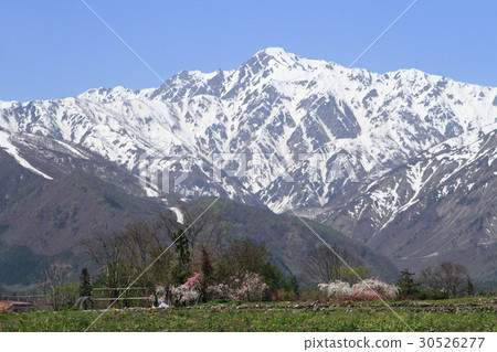 五月五月在白馬山腳下 30526277