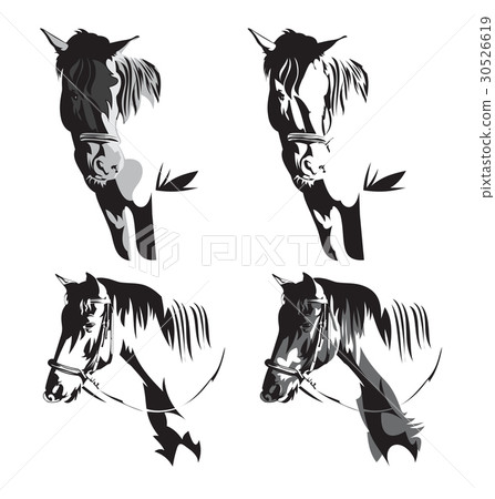 horse horse 30526619