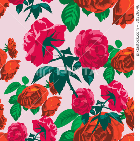 rose rose 30526646