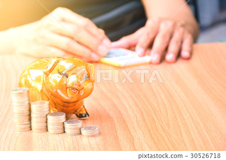 piggy bank, coins and woman using calculator 30526718
