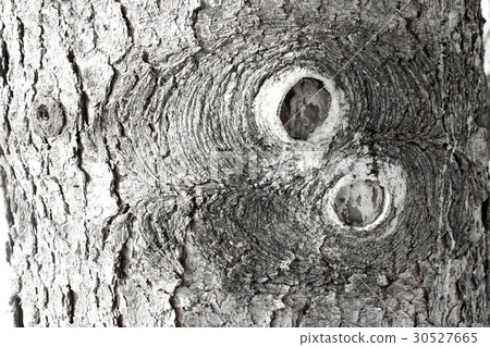 Background texture. Photo for your design. Background texture. Photo for your design. 30527665