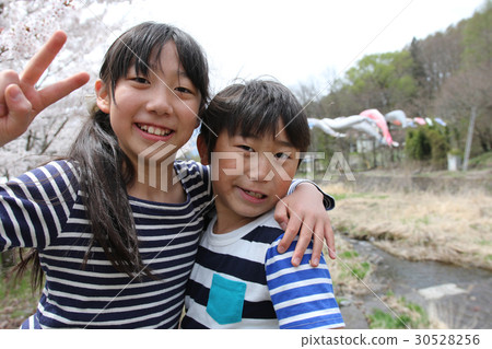 兄弟春鯉魚流光 兄弟春鯉魚流光 30528256