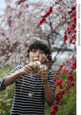 女孩蒲公英 女孩蒲公英 30528262