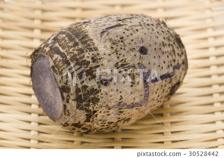 Taro Taro 30528442