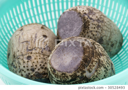 Taro 30528493