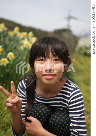 女孩水仙花 30528499