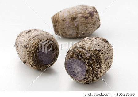 泰莫 泰莫 30528530