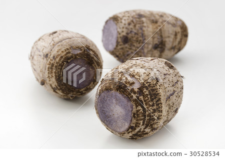 Taro Taro 30528534