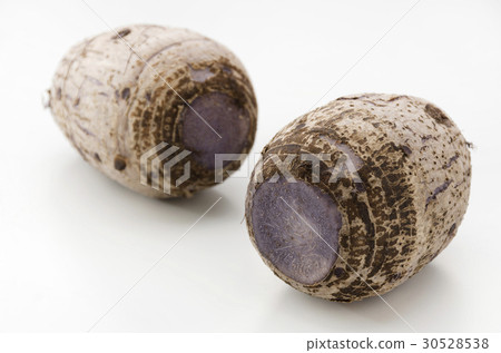 Taro Taro 30528538