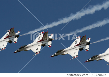 雷鳥 雷鳥 30528604