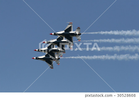 雷鳥 雷鳥 30528608