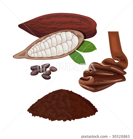 Fresh ripe Cocoa fruit. Cacao pod leaves and beans Fresh ripe Cocoa fruit. Cacao pod leaves and beans 30528863