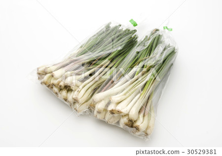 Island island (Okinawa Island Vegetable) 30529381