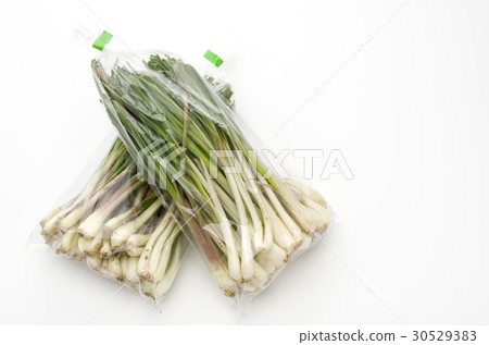Island island (Okinawa Island Vegetable) 30529383