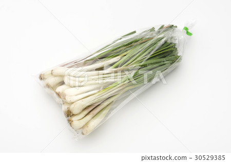 Island island (Okinawa Island Vegetable) 30529385