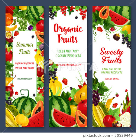 Vector banners of tropical fruits or fresh berries 30529449