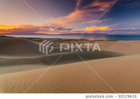 Beautiful views of the desert landscape. Gobi 30529618