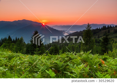 Beautiful summer landscape in the mountains with 30529620