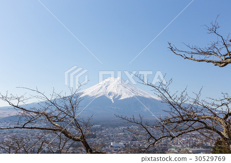 Fuji mountain and tree foreground, winter season Fuji mountain and tree foreground, winter season 30529769