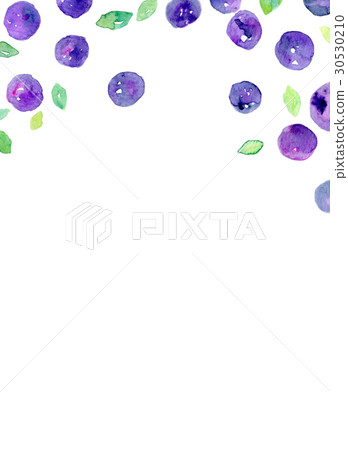 Watercolor blueberry texture 30530210