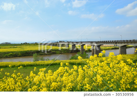 Spring Maiden Bridge Spring Maiden Bridge 30530956