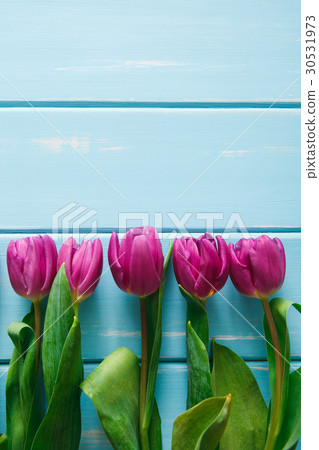 Flowers background, Violet tulips on blue wood 30531973