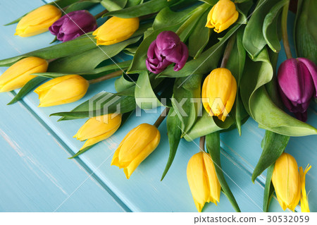 Yellow and violet tulips on blue wood background 30532059