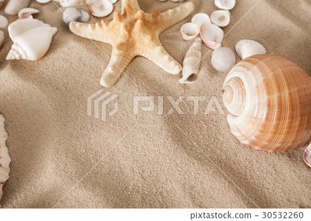 Sea beach sand and seashells background, natural 30532260
