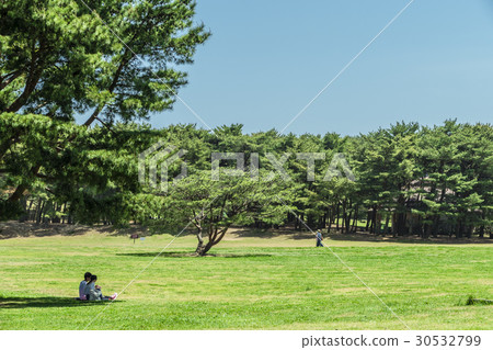 Hitachi Beach Park the Prairie 30532799
