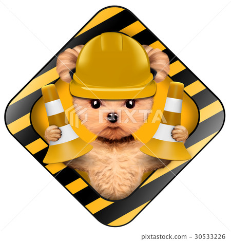 Funny puppy with tools holding construction Funny puppy with tools holding construction 30533226