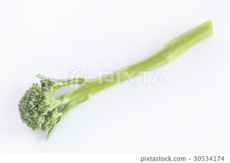 Stalk Broccoli Simple · White Back Photo 30534174