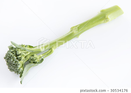 Stalk Broccoli Simple · White Back Photo 30534176