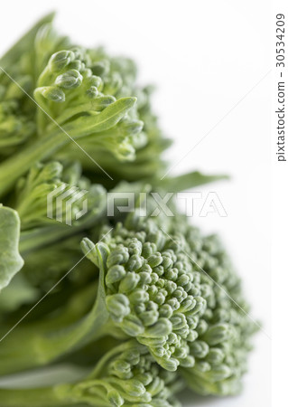 Stalk Broccoli Simple · White Back Photo 30534209