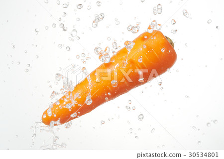 胡蘿蔔胡蘿蔔感 30534801